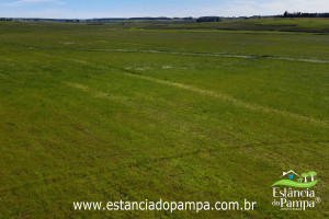 0907 (1)(7)_0ebc7bcf30f0e305ed5ba12f0e162a40f1c38189.jpg